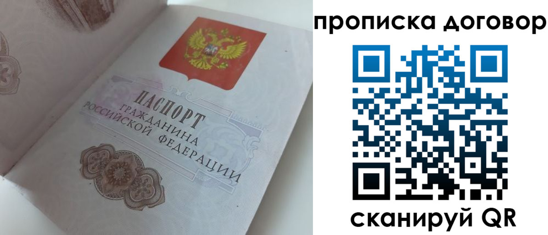 прописка поиск в Курганинске